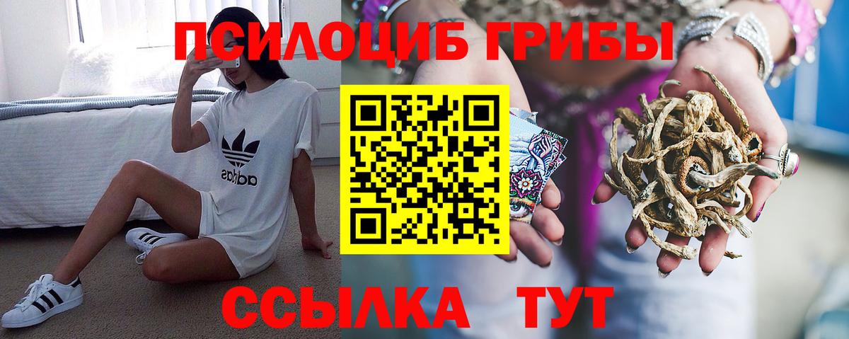 Псилоцибиновые грибы мицелий Чита